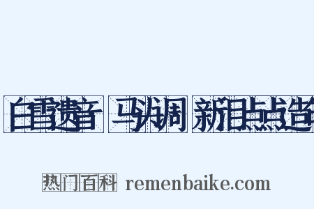 白雪遗音·马头调·新泪点点造句是什么意思的图片